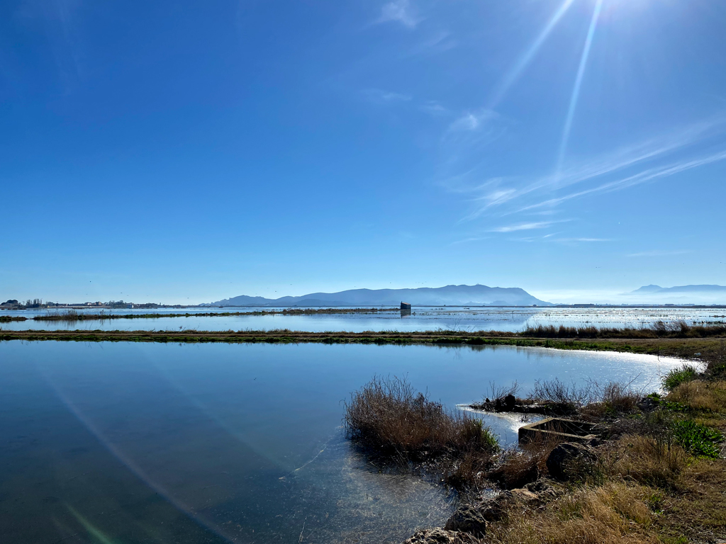 Parc Natural de l'Albufera